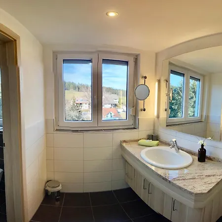 ホテル Zur Linde 3*