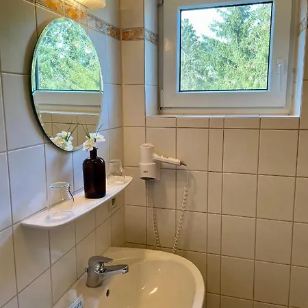 Zur Linde ホテル Loßburg